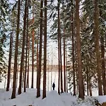 فيلة Onni Village روكولاهتي