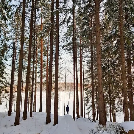 Villa Onni Village Ruokolahti