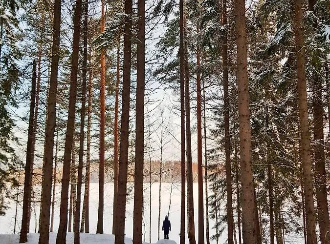 别墅 Onni Village 鲁奥科拉赫蒂